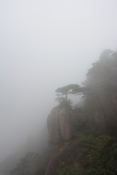 三清山风光摄影 雾中的三清山
