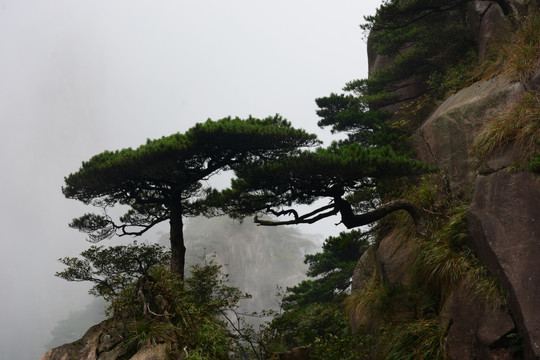 三清山风光摄影 雾中的三清山