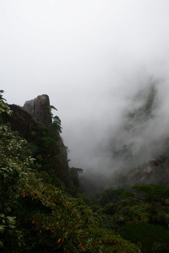 三清山风光摄影 雾中的三清山