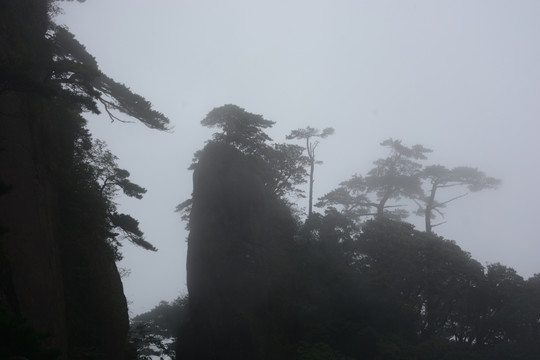 三清山风光摄影 雾中的三清山