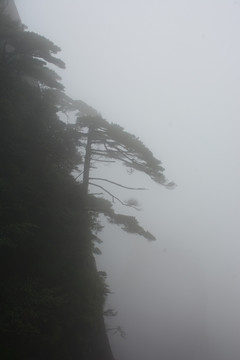 三清山风光摄影 雾中的三清山