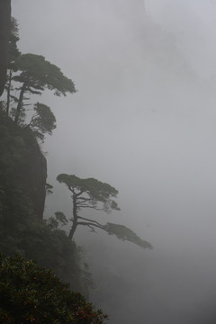 三清山风光摄影 雾中的三清山