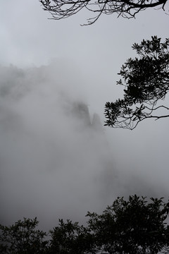 三清山风光摄影 雾中的三清山