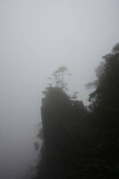 三清山风光摄影 雾中的三清山