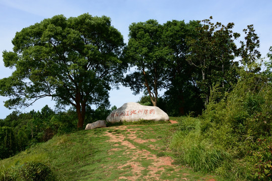 鄱阳湖 鄱阳湖湿地公园