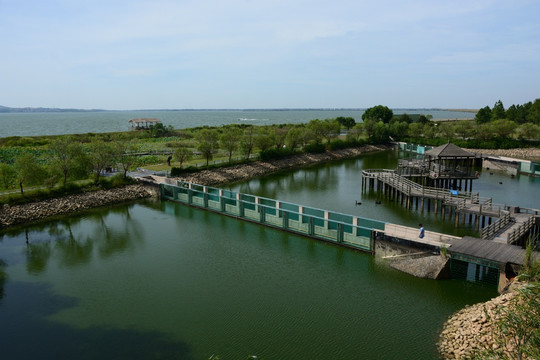鄱阳湖 鄱阳湖湿地公园