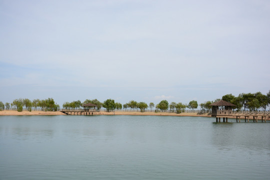 鄱阳湖 鄱阳湖湿地公园