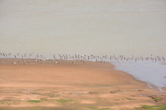 鄱阳湖 鄱阳湖湿地公园