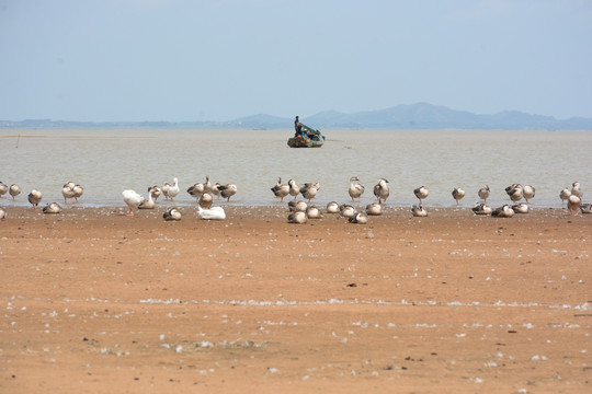 鄱阳湖 鄱阳湖湿地公园