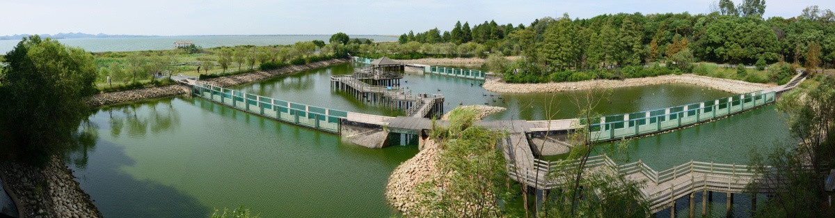 鄱阳湖 鄱阳湖湿地公园