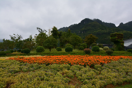 花园