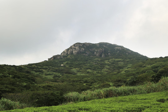 嵛山岛