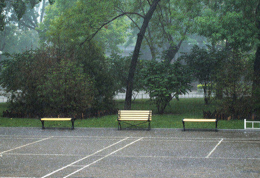 大雨滂沱 公园景象