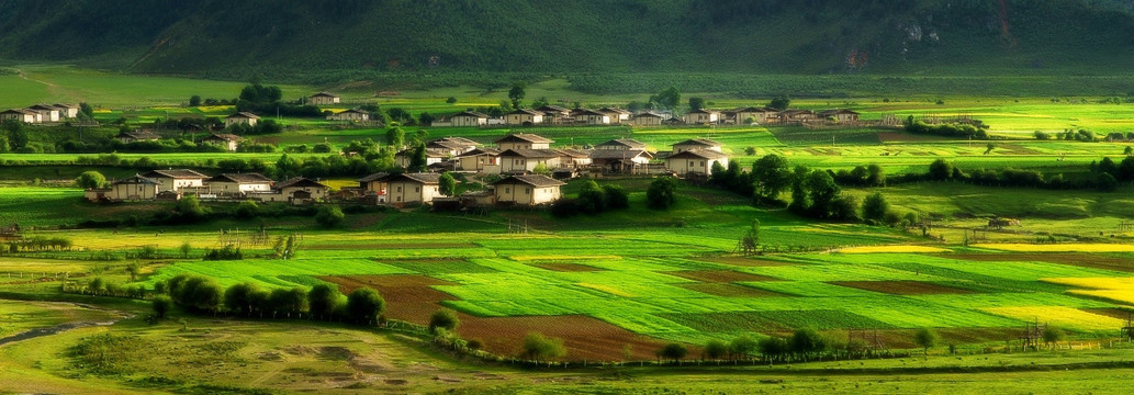 香格里拉