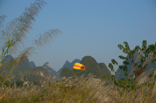 茅草秋景