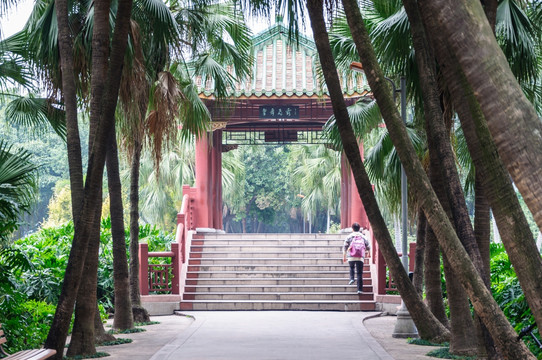 流花湖公园景观