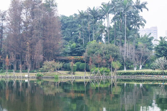 流花湖公园景观