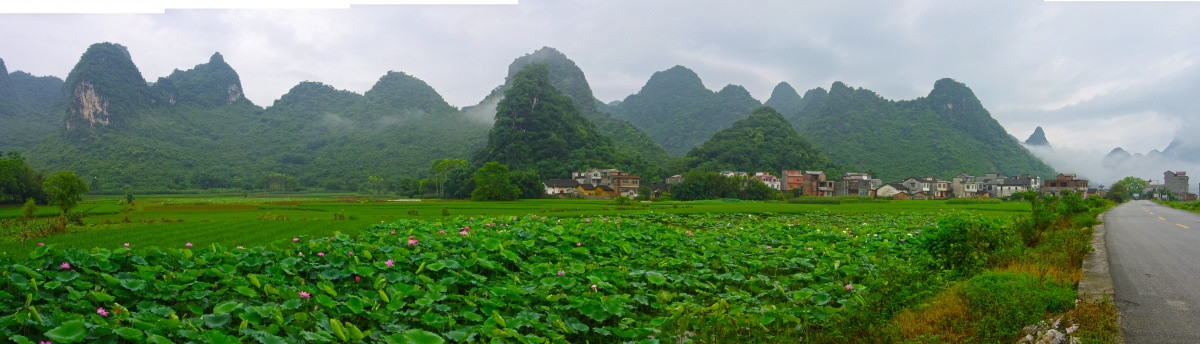 风景