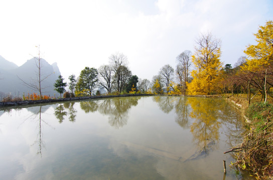 秋天风景