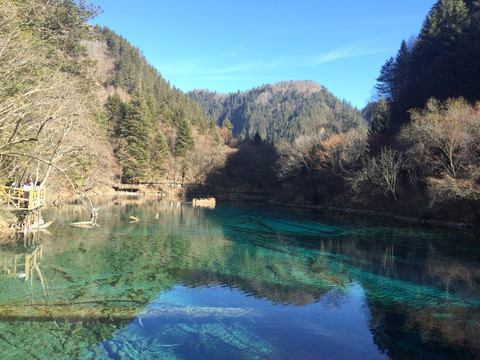 九寨沟湖光风景