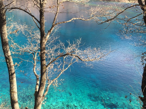 九寨沟之碧绿的湖水