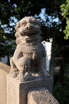 練塘古鎮 練塘 古鎮老街 廊棚