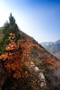 禹州大鸿寨