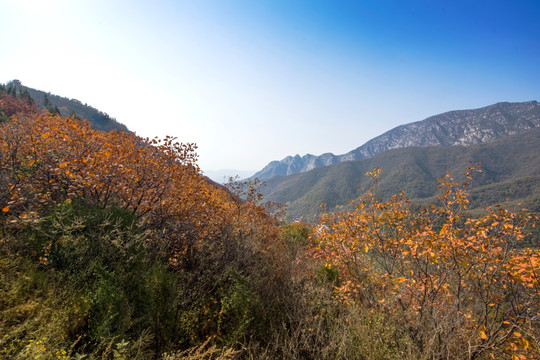 禹州大鸿寨