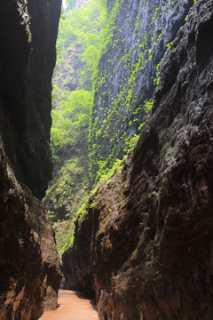 野山坡