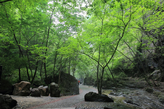 百里峡