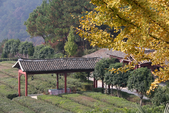 清凉寨风景