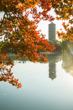 北京大学 博雅塔