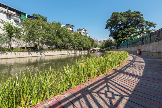 广州荔枝湾涌