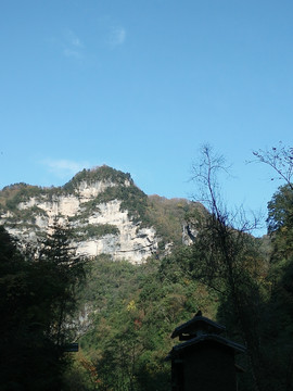 高山绿树