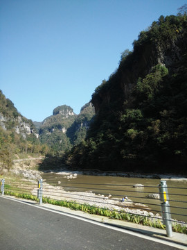 高山绿树