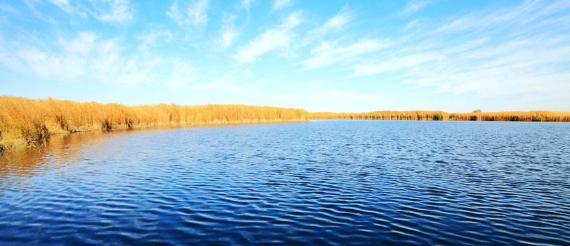 龙湖秋景