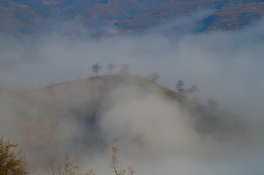 山间迷雾