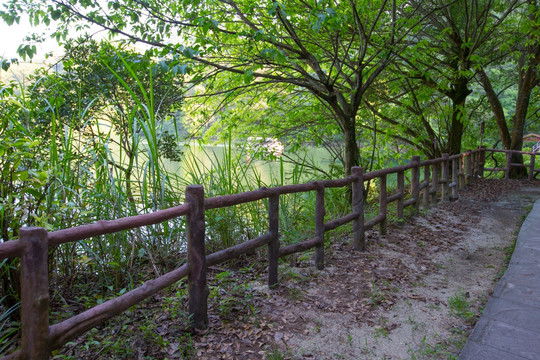 山间小道 护栏 拦河