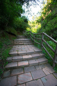 林间小道 栈道