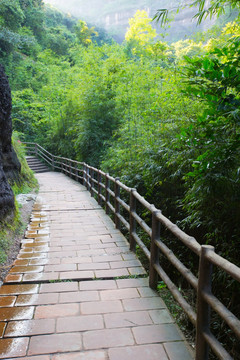 林间小道 丹霞山