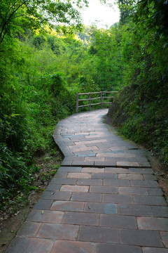 林间小道 丹霞山