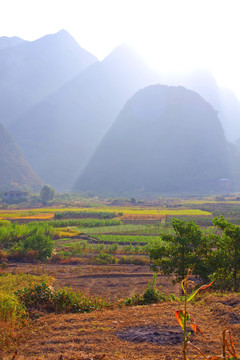 山景