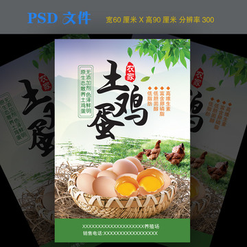 農(nóng)家土雞蛋海報展板