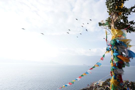 泸沽湖风光 风景壁纸