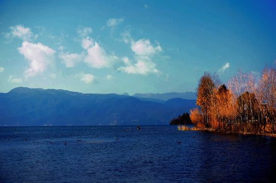 泸沽湖风光 风景壁纸 秋天