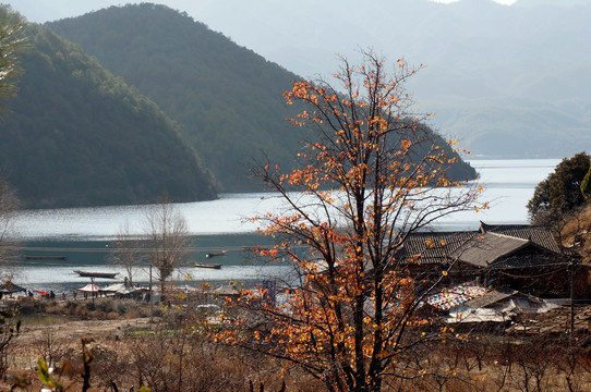 泸沽湖 秋色 风景壁纸