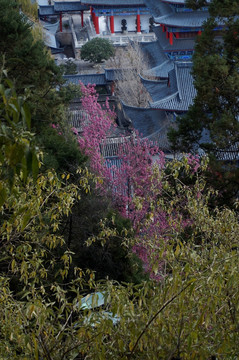 丽江古城 木府 全景