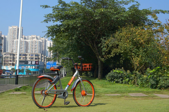 共享单车 摩拜单车 草坪