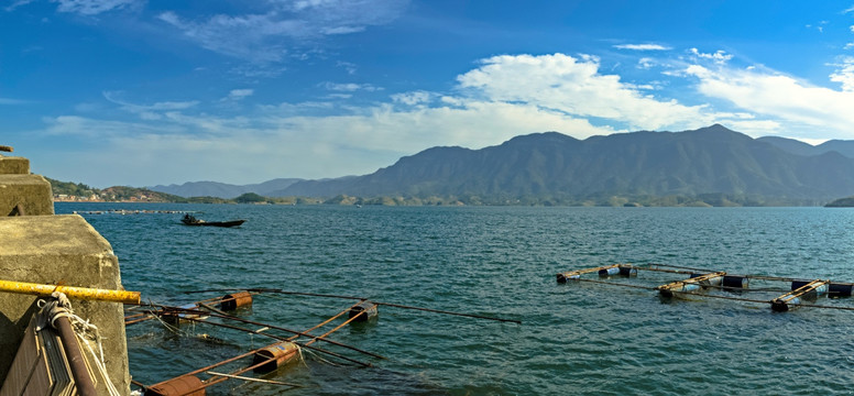 富水湖湿地风光