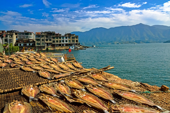 富水湖湿地风光